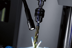 ABLTL-goose-w-drill-appl-HR