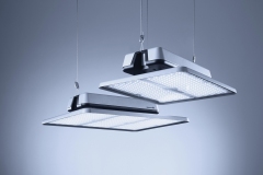 Acaneo-pair-gallery
