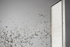 Waldmann_Acuria_Impact