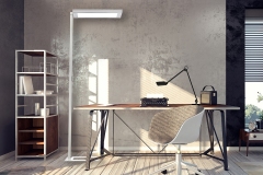 Homeoffice-w-lavigo-and-parami-gallery