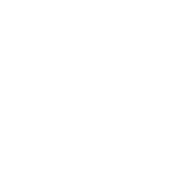 MADE IN GERMANY