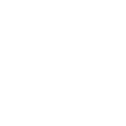 SERVICE